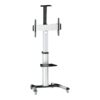Logilink BP0025 TV stand cart, adjustable TV height, 37–70“, max. 50 kg | Logilink | Floor stand | BP0025 | 30-70 " | Maximum weight (capacity) 50 kg