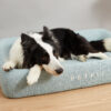 PETKIT | Deep Sleep All Season Pet Bed M | Green