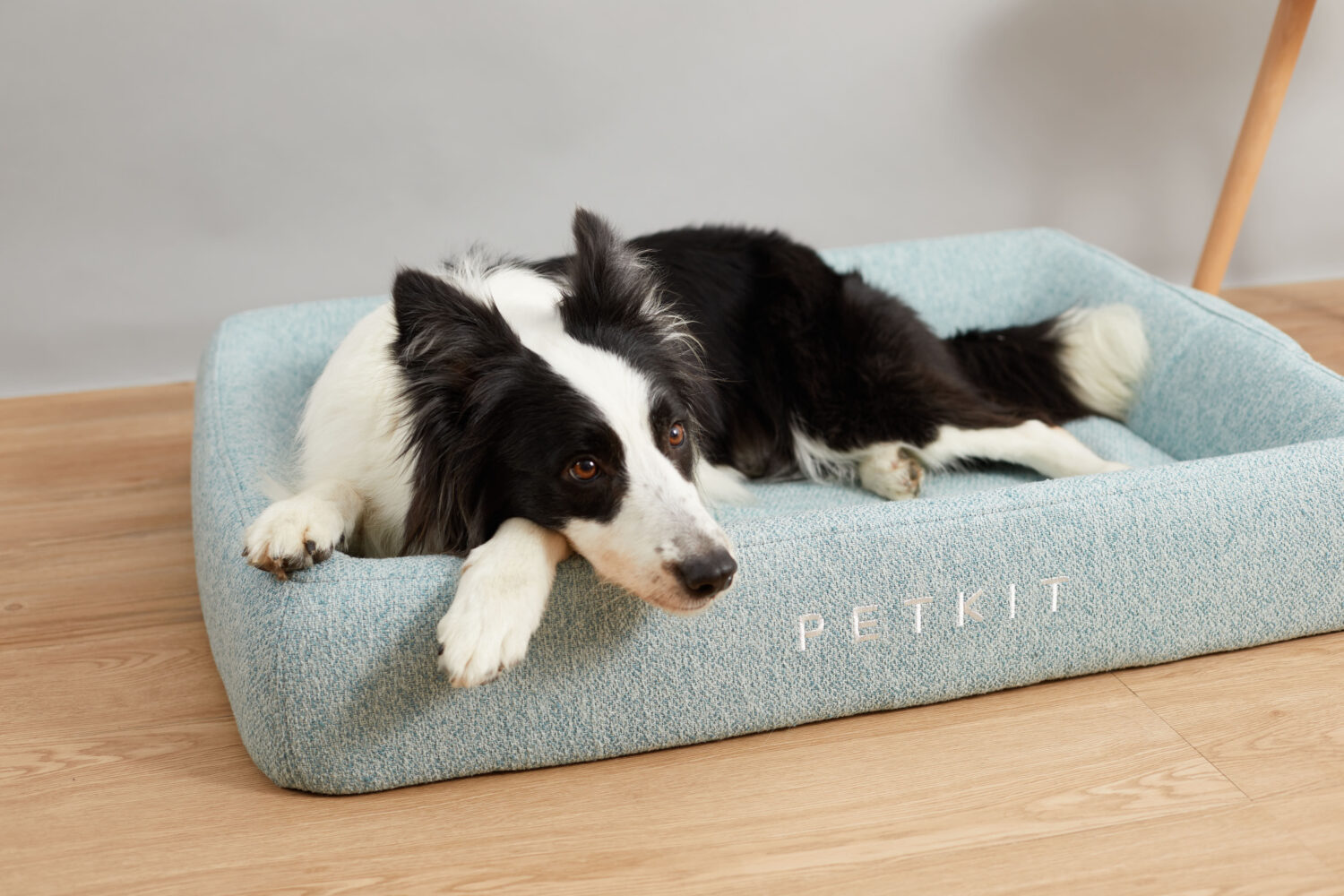 PETKIT | Deep Sleep All Season Pet Bed M | Green