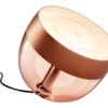 Philips Hue|Hue Iris Portable Lamp, Copper Special Edition|Copper/brass|Portable lamp