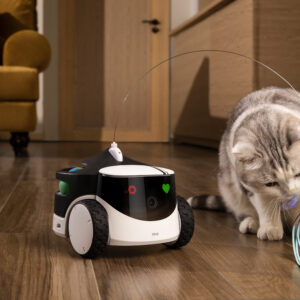 Enabot | Family Robot IP Camera | ROLA PetPal