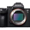 Sony Alpha 7 Mark III BODY | Sony