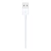 Apple Lightning to USB Cable (1m) | Apple