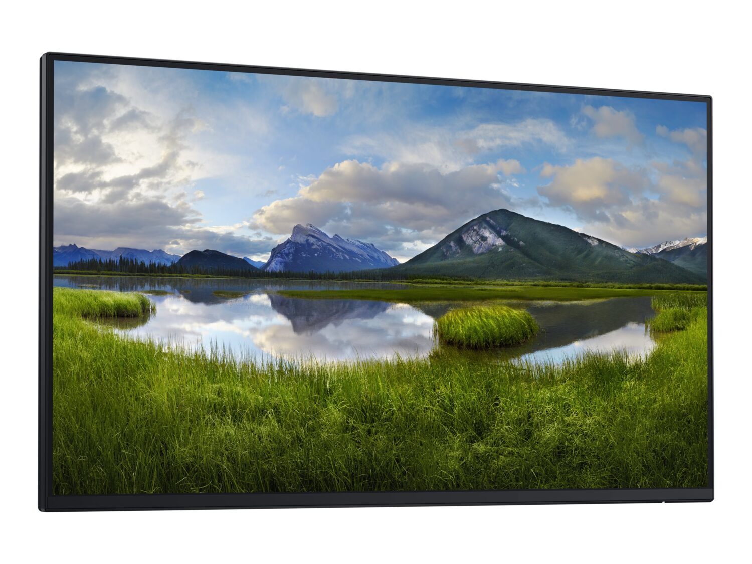 Dell | P2425H | 24 " | IPS | 16:9 | 100 Hz | 8 ms | 1920 x 1080 pixels | 250 cd/m² | HDMI ports quantity 1 | Black | Warranty 36 month(s) - Image 11