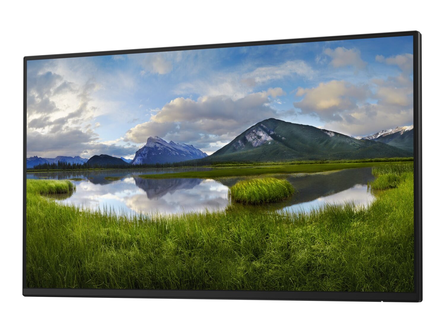 Dell | P2425H | 24 " | IPS | 16:9 | 100 Hz | 8 ms | 1920 x 1080 pixels | 250 cd/m² | HDMI ports quantity 1 | Black | Warranty 36 month(s) - Image 10