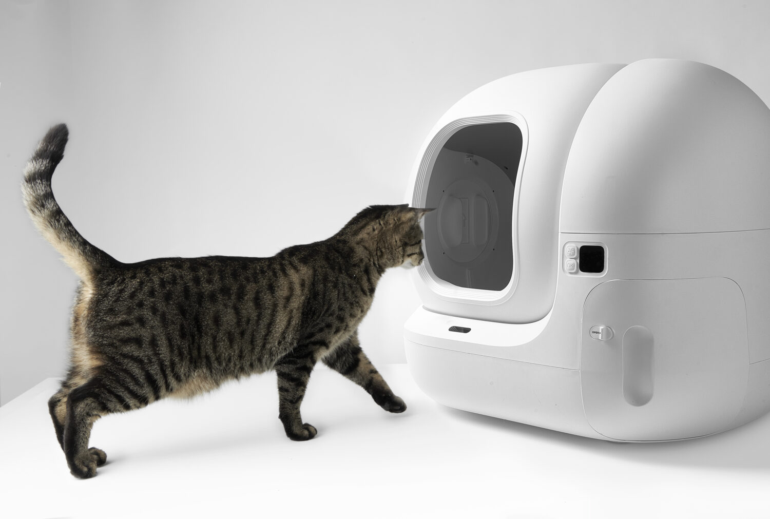 PETKIT | Automatic Cat Litter Box | Pura MAX 2 | 480 x 480 x 520 cm | White - Image 13