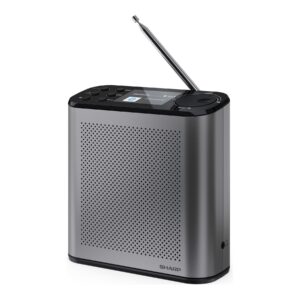Sharp OSAKA Portable Digital Radio | DR-P530(GY) | USB port | Bluetooth | FM radio | Wireless connection