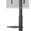 Goobay Floor stand | TV Floor Stand Basic, Size L | Swivel | 37-70 " | Maximum weight (capacity) 40 kg | Black