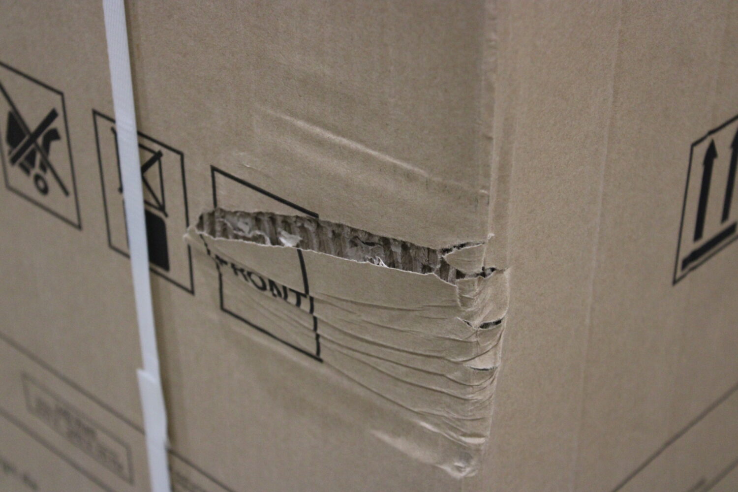 SALE OUT. | Caso | Dry aging cabinet with compressor technology | DryAged Master 380 Pro | Energy efficiency class Not apply | Food-ageing cabinet with compressor technology | Free standing | Bottles capacity Not apply | Cooling type Compressor technology | Stainless steel | DAMAGED PACKAGING - Image 4