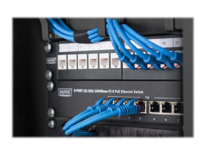 Digitus | Wall-mounted housing 254 mm (10") - 312 x 300 mm | DN-10-09U-B - Image 10