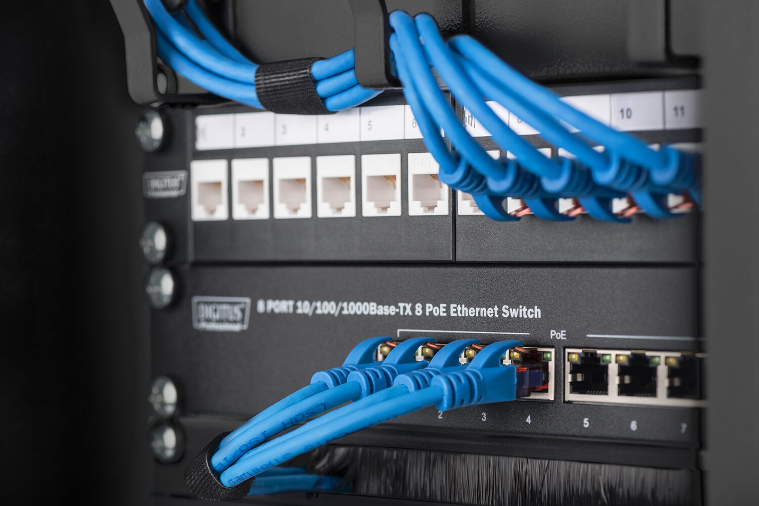 Digitus | Wall-mounted housing 254 mm (10") - 312 x 300 mm | DN-10-09U-B - Image 6